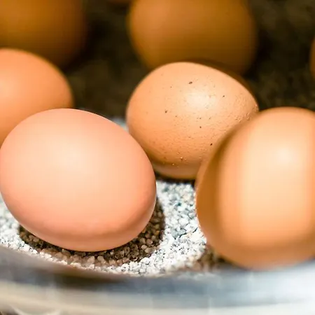 Schweinfurt-süd Hotel 3*